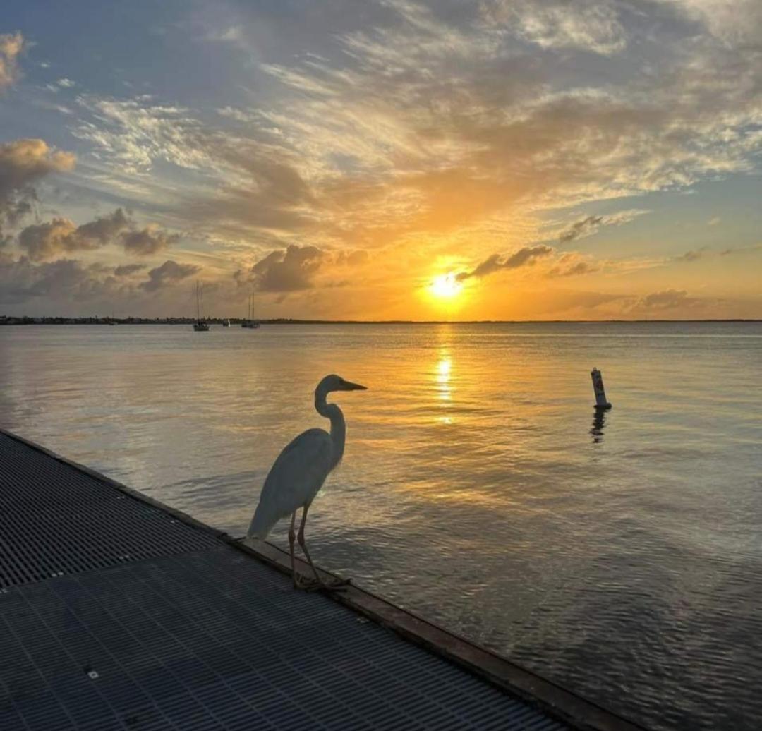 Moon Bay C1 Key Largo Sunsets - 2 Bedroom Townhouse Sleeps 4 Exterior photo